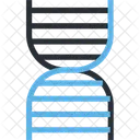 ADN Cadena De ADN Genetica Icono