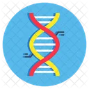 ADN Acido Desoxirribonucleico Cadena De ADN Icono