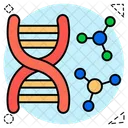 ADN Acido Desoxirribonucleico Cadena De ADN Icono