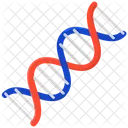 ADN Acido Desoxirribonucleico Acido Nucleico Icono