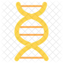 ADN Acido Desoxirribonucleico Acido Nucleico Icono