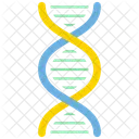 ADN Cadena De ADN Helice De ADN Icono