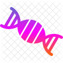 Biologia Cromosoma Adn Icono