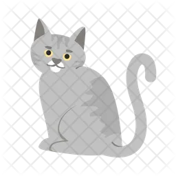 Adorable Gray Cat  Icon