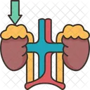 Adrenal Icon
