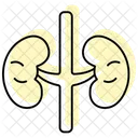 -adrenal-glands  Icon