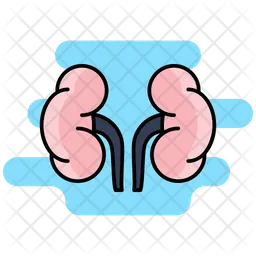 Adrenal Glands  Icon