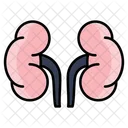 Adrenal Glands Icon