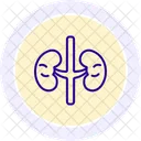 Adrenal Glands Line Icon Icon