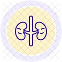 Adrenal glands  Icon
