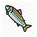Adult Fish  Icon