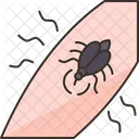 Aedes  Icon