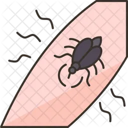 Aedes  Icon