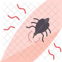 Aedes  Ícone