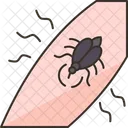 Aedes  Ícone