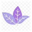 Aesthetic Leaves  Icon