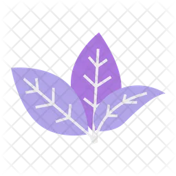 Aesthetic Leaves  Icon