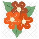 Flower Aesthetics Science Icon