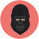 Affe  Icon