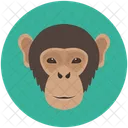 Affe  Icon