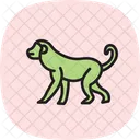 Affe Symbol