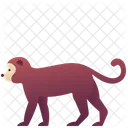 Affe Zoo Tier Symbol