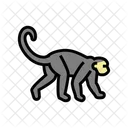 Affe  Symbol