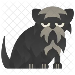 Affenpinscher  Icon