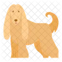 Afghan Hound Dog Puppy Symbol