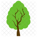 Afghan Pine Tree Icon