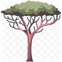 Africa Tree  Icon