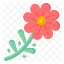 African Daisies  Icon