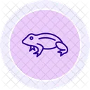African dwarf frog  Icon
