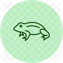 アフリカツメガエル  アイコン