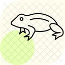 アフリカツメガエル  アイコン