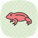 Africandwarffrog Amphibian Slimy Icon