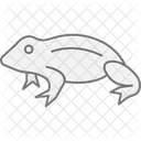 African dwarf frog  Icon