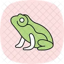 African dwarf frog  Icon