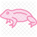 Africandwarffrog Amphibian Slimy Icon