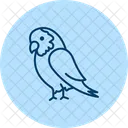 African grey parrot  Icon
