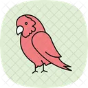 African grey parrot  Icon
