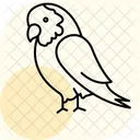 African grey parrot  Icon