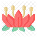 아프리카 연꽃  아이콘