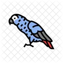 African Grey Parrot Icon