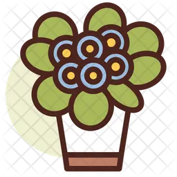 African Pot  Icon