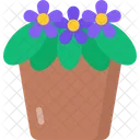 African Violet Icon
