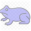 Aga Krote Aga Krote Amphibien Symbol