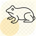 Aga Krote Aga Krote Amphibien Symbol