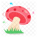 Agaricus Bisporus  Icon