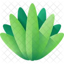 Agave Horticultura Planta De Interior Icono